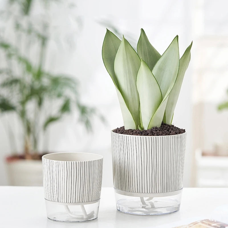 Evergreen Flow Self-Watering Planter – Letifly Lights & Decor