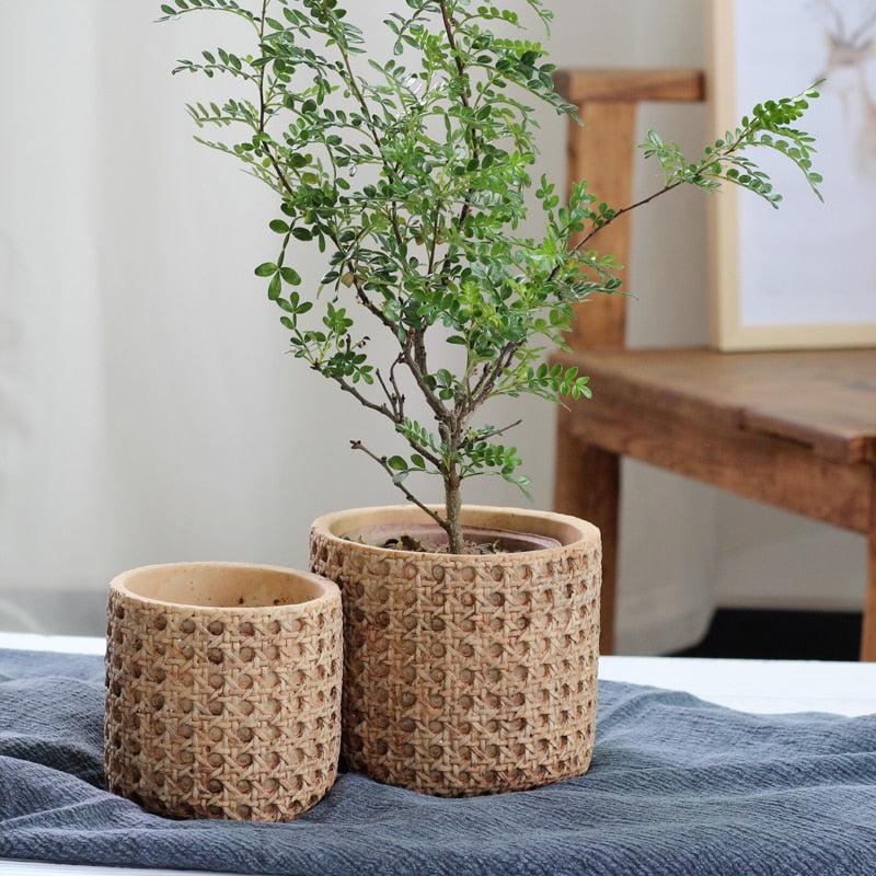 plant pot rattan Natural Rattan Texture Cement Planter