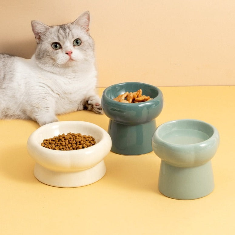 Ceramic Pet Food Bowls