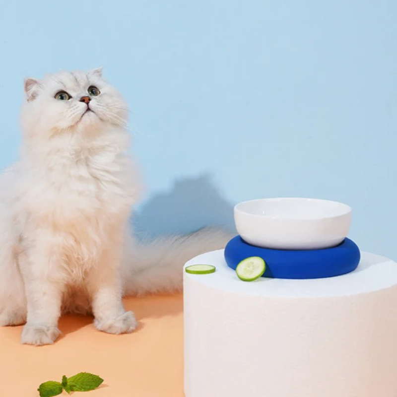 Ceramic Silicone Pet Food Bowls
