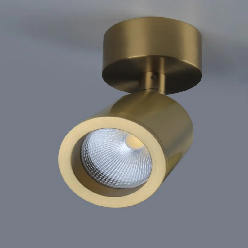 Round Led Polished Copper Steel adjustable Angle Spot Light
