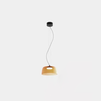 Multi-layer Colored Pendant lights