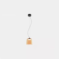 Multi-layer Colored Pendant lights