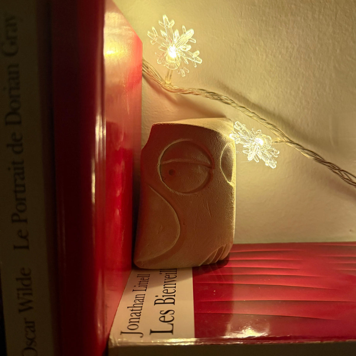 Fairy LED String Lights