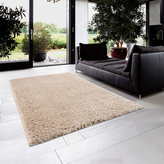 Camdyn Super Soft Polyester Shag Area Rug