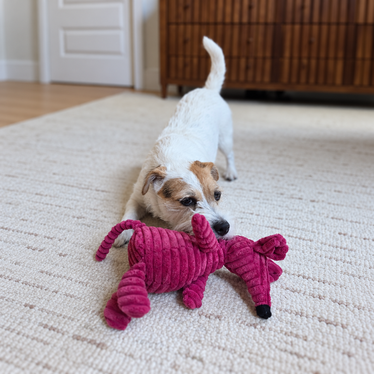 Plush Squeaky Mouse Dog Toy – Soft Chew Toy for Small & Medium Dogs