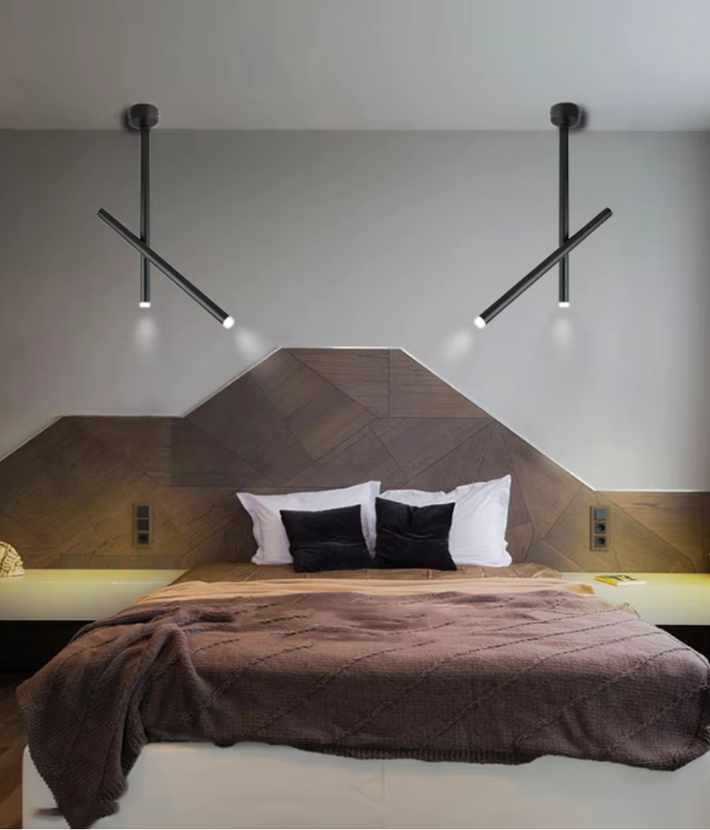 LED ceiling light adjustable dual spotlight modern matte metal
