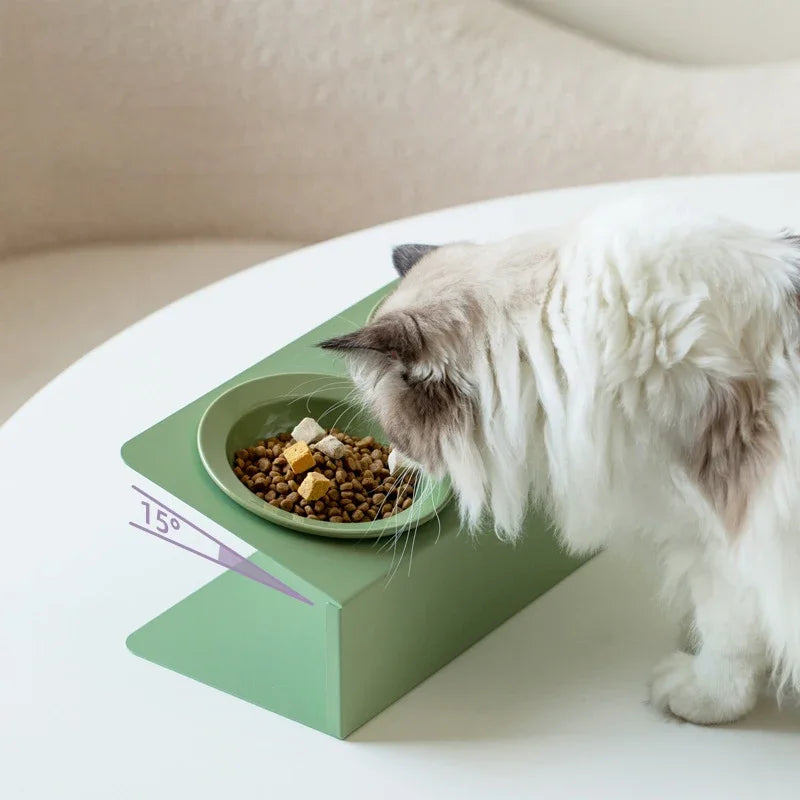 Elevated Dual Ceramic Pet Feeder – Letifly Lights & Decor