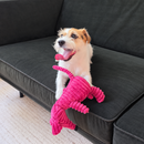 Plush Squeaky Mouse Dog Toy – Soft Chew Toy for Small & Medium Dogs