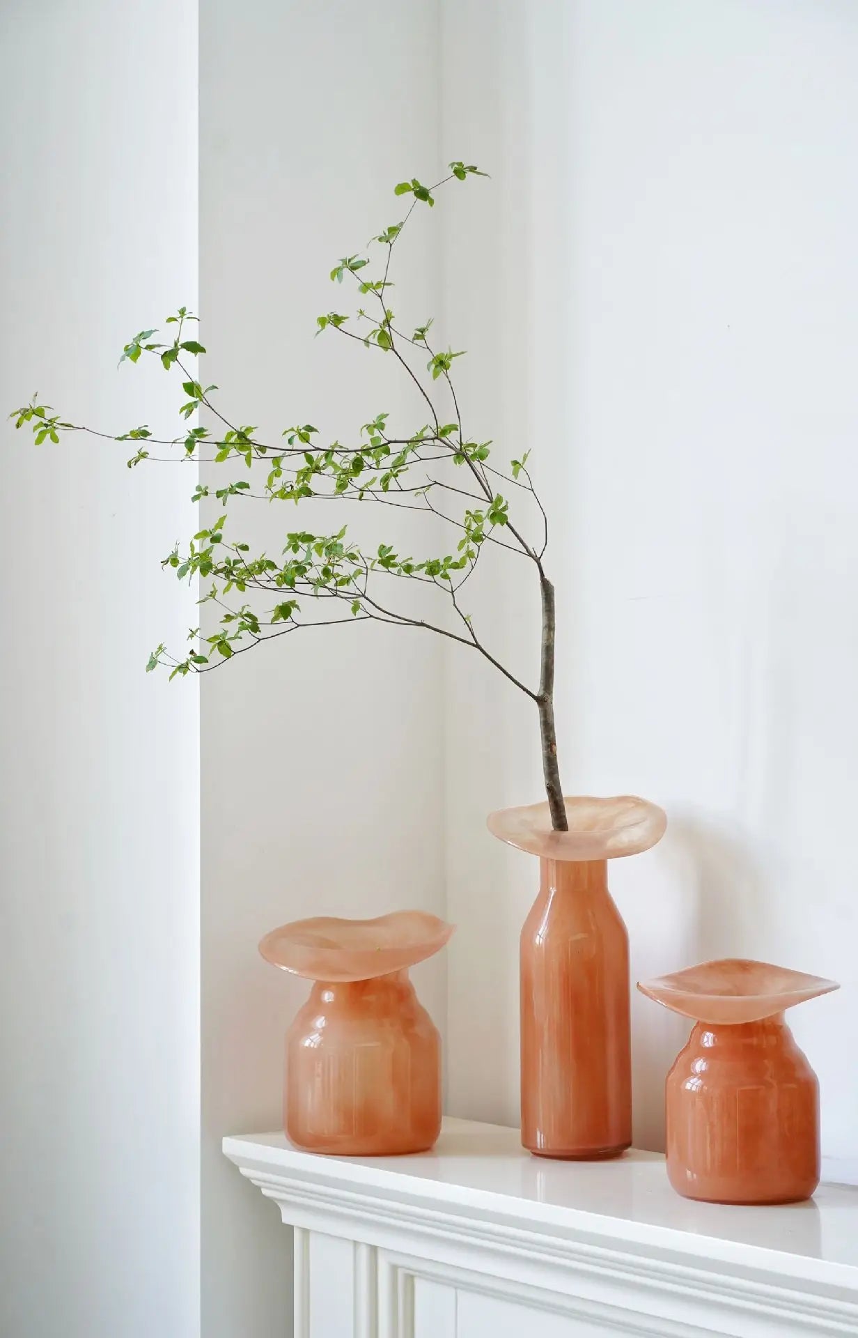 Glass vase wide-mouth sculptural artistic floral décor hydroponics flower vase