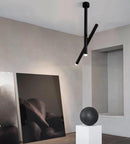 LED ceiling light adjustable dual spotlight modern matte metal