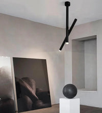 LED ceiling light adjustable dual spotlight modern matte metal