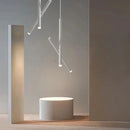 LED ceiling light adjustable dual spotlight modern matte metal