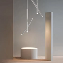 LED ceiling light adjustable dual spotlight modern matte metal