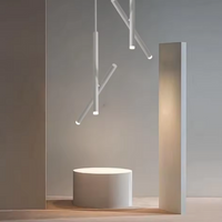 LED ceiling light adjustable dual spotlight modern matte metal