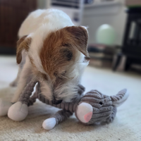 Plush Bunny Squeaky Dog Toy – Soft Chew Toy for Small & Medium Dogs