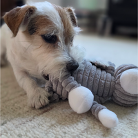 Plush Bunny Squeaky Dog Toy – Soft Chew Toy for Small & Medium Dogs