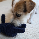 Plush Squeaky Elephant Dog Toy – Soft Chew Toy for Small & Medium Dogs