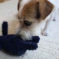 Plush Squeaky Elephant Dog Toy – Soft Chew Toy for Small & Medium Dogs