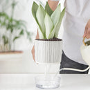 Self Absorbent Flowerpot Plastic Hydroponic Lazy Flowerpot Thickened Water Storage Plant Pot Desktop Potted Planter Home Decor-Letifly Lights and Decor