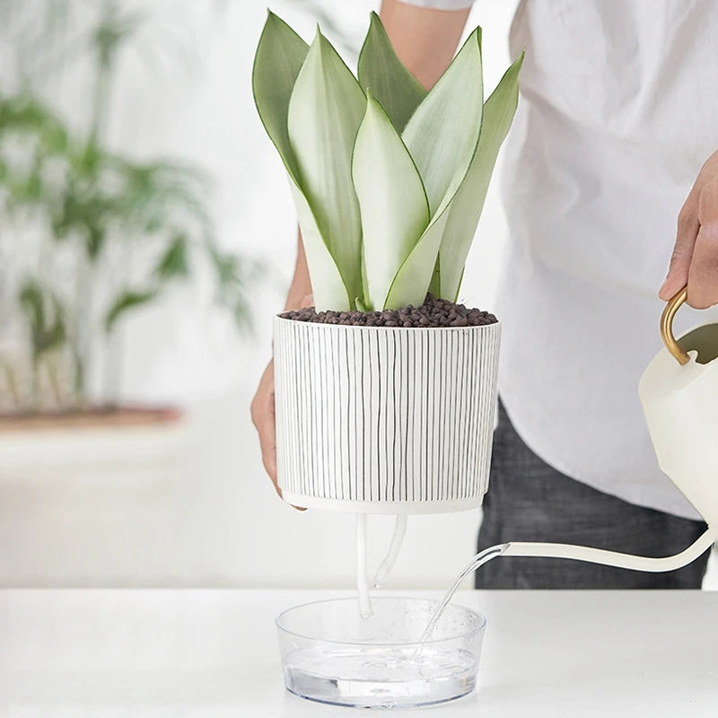 Self Absorbent Flowerpot Plastic Hydroponic Lazy Flowerpot Thickened Water Storage Plant Pot Desktop Potted Planter Home Decor-Letifly Lights and Decor