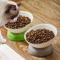 Elevated Ceramic Cat Bowl, Raised Slow Feeder for Cats & Small Dogs, Anti-Choking Neck Guard, Multiple Colors, Non-Slip Bowl-Letifly Lights and Decor