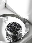 Radiance Ribbed Bowl Polished stainless steel ribbed bowl modern reflective noodle rice bowl