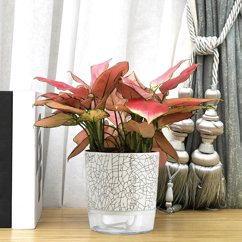 hydroponic self-watering planter Evergreen Flow Self-Watering Planter