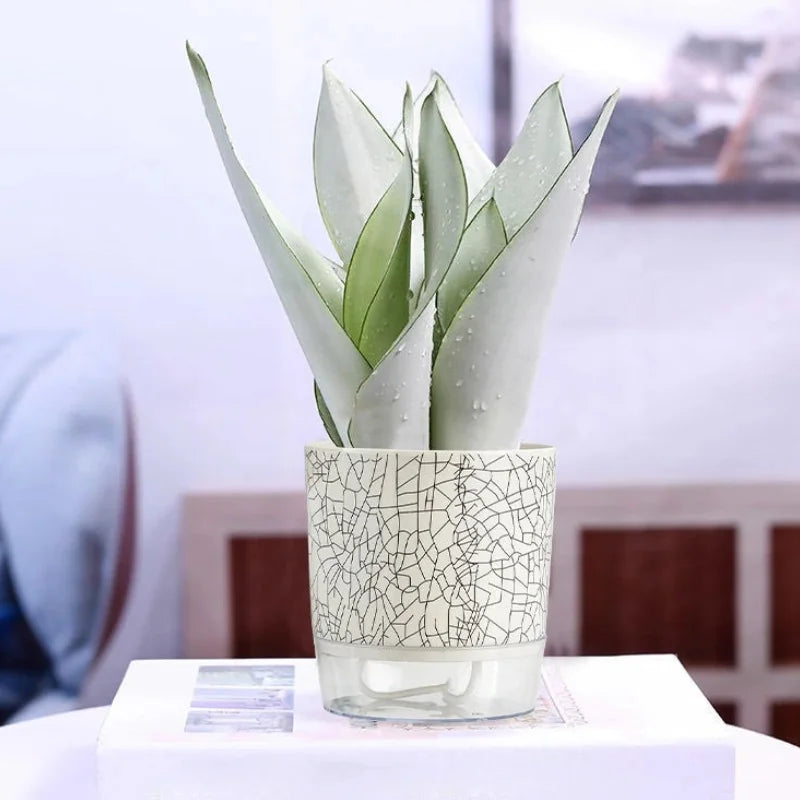 Evergreen Flow Self-Watering Planter – Letifly Lights & Decor