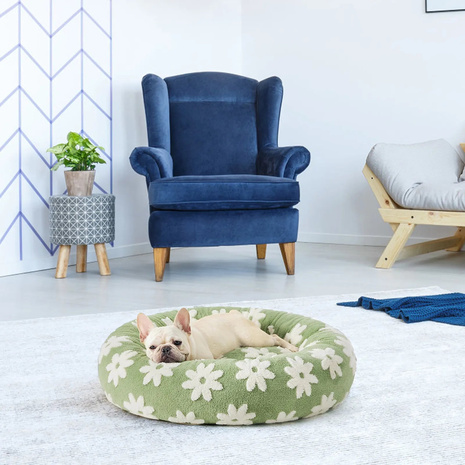 Donut Haven Pet Bed