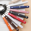 Letifly Lights & Decor - Harper 6pc Spoon Set - 304 stainless steel spoons with colorful handles for everyday dining and table settings