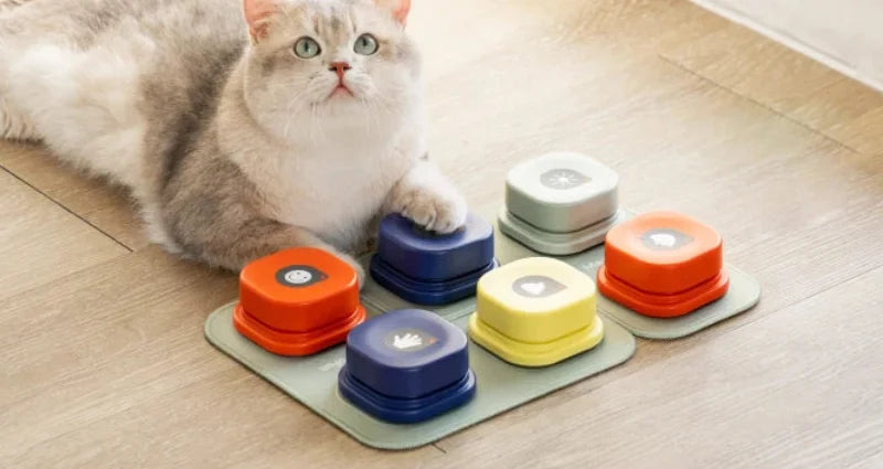 Training buttons set recordable talking dog buttons rubber mat colorful pet communication tool