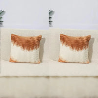 Plush pillow covers ink-wash ombré velour ultra-soft set of 2 pillowcases