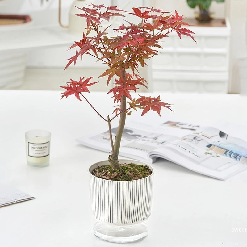bonsai tree self watering pot Evergreen Flow Self-Watering Planter – Letifly Lights & Decor
