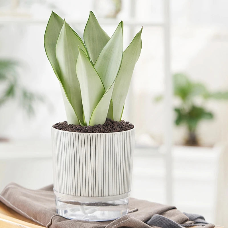 Self Absorbent Flowerpot Plastic Hydroponic Lazy Flowerpot Thickened Water Storage Plant Pot Desktop Potted Planter Home Decor-Letifly Lights and Decor