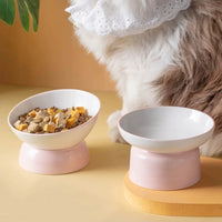 Elevated Ceramic Cat Bowl, Raised Slow Feeder for Cats & Small Dogs, Anti-Choking Neck Guard, Multiple Colors, Non-Slip Bowl-Letifly Lights and Decor