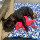 Plush corduroy squeaky dog toy animal shape durable chew toy for puppies and dogs