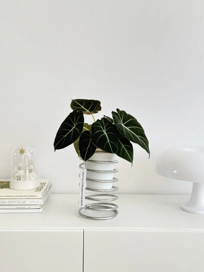 silver indoor plant stand Spring Wire Planter Stand: Elegant Stainless Steel Holder for Plants – Letifly Lights & Decor