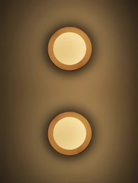 Walnut Wood Brass lighting Wall sconce round globe glass rustic wall lighting