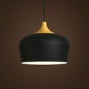 Soft Pastel Palette Pendant Lights in Metal & Wood