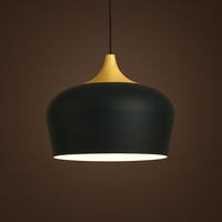 Soft Pastel Palette Pendant Lights in Metal & Wood