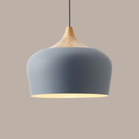 grey metal pendant light with wood detail – dome shape