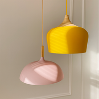 dome Aluminum lampshade with Wood detail pendant light