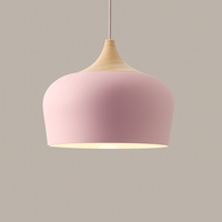 pink metal pendant light with wood detail – dome shape