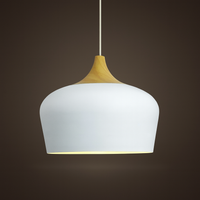 Soft Pastel Palette Pendant Lights in Metal & Wood