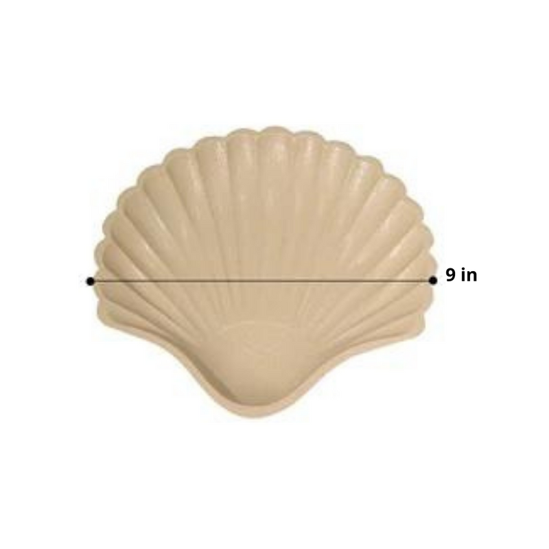 Seashell Shaped Beige Jewelry Tray Dimensions 