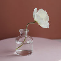 Transparent Flower Glass Vase for Decoration