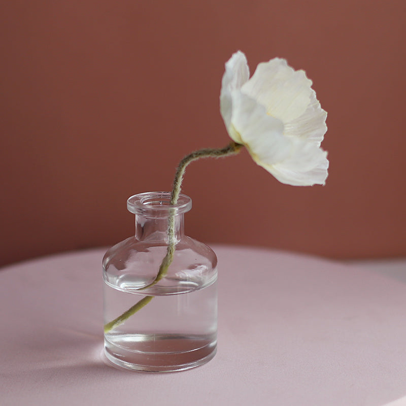 Transparent Flower Glass Vase for Decoration
