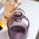 Transparent Flower Glass Vase for Decoration
