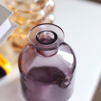 Transparent Flower Glass Vase for Decoration
